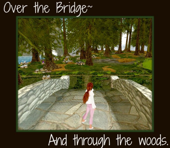 Over the Bridge and Through the Woods_001